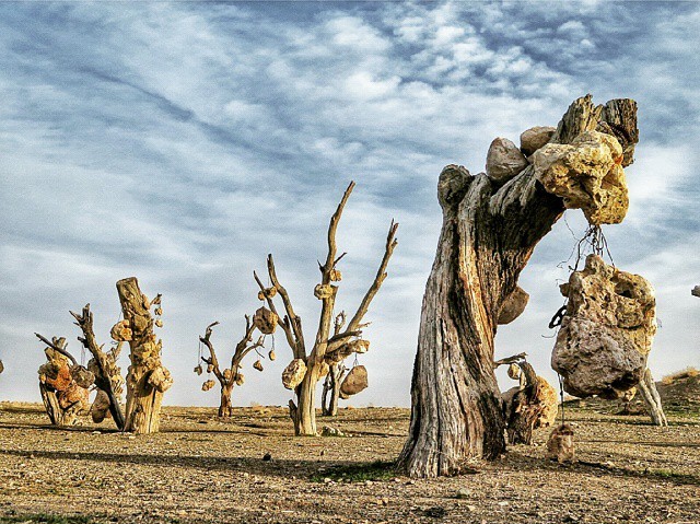 Stone Garden